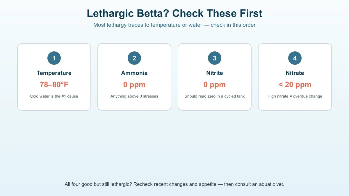 Betta lethargy quick-check table: temperature and water parameter targets, warning signs, and first actions