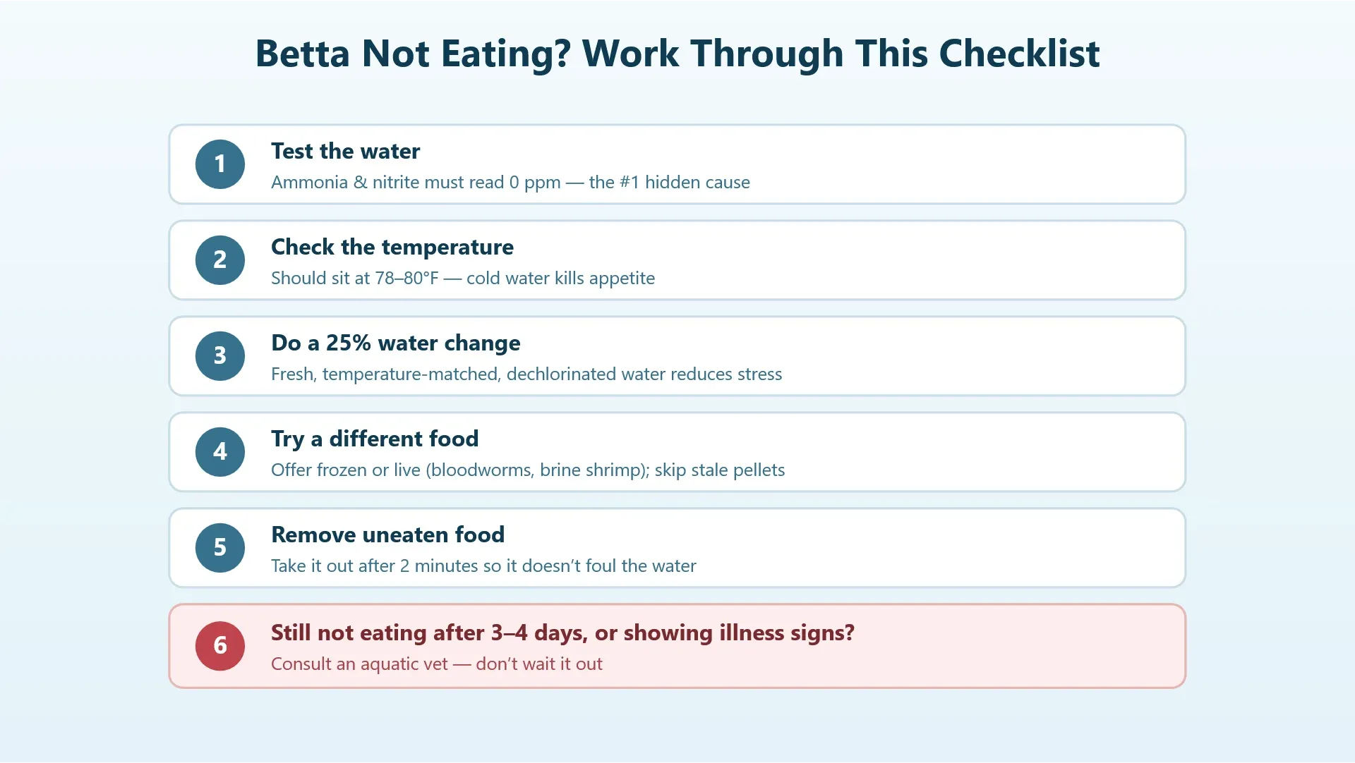 Step-by-step checklist for a betta fish that is not eating: test water, check temperature, change food