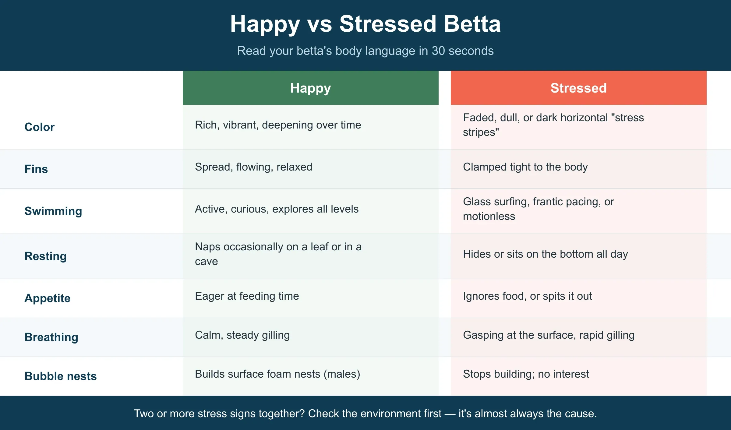 Happy vs stressed betta comparison across seven behaviors — color, fins, swimming, resting, appetite, breathing, and bubble nests