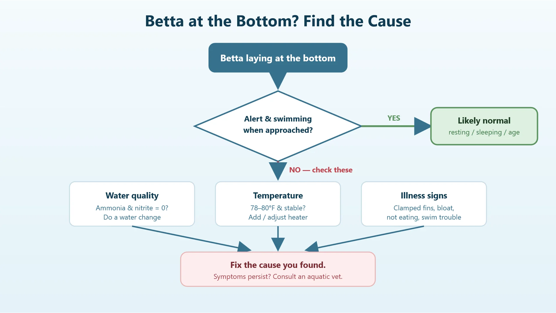 Diagnostic flowchart for a betta fish laying at the bottom of the tank