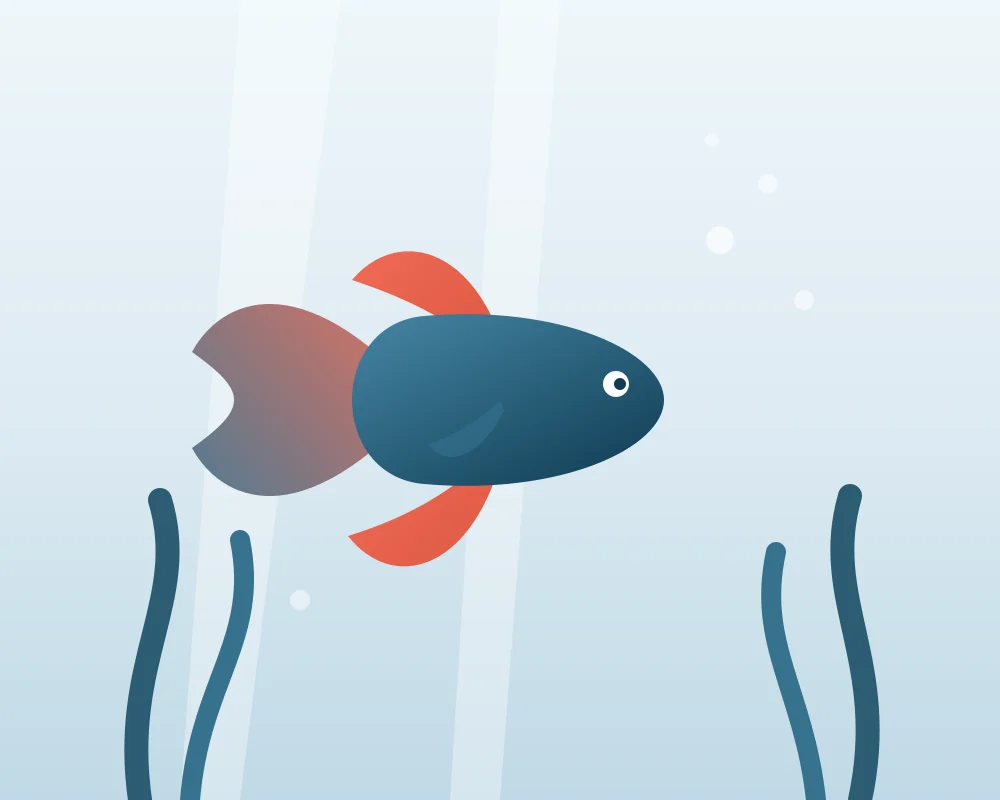 Finned Friends Hero Image